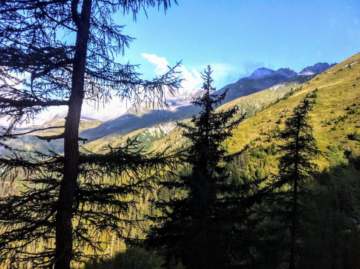 Apartment Cristina - Suedbalkon Mit Bergblick Seefeld in Tirol Extérieur photo